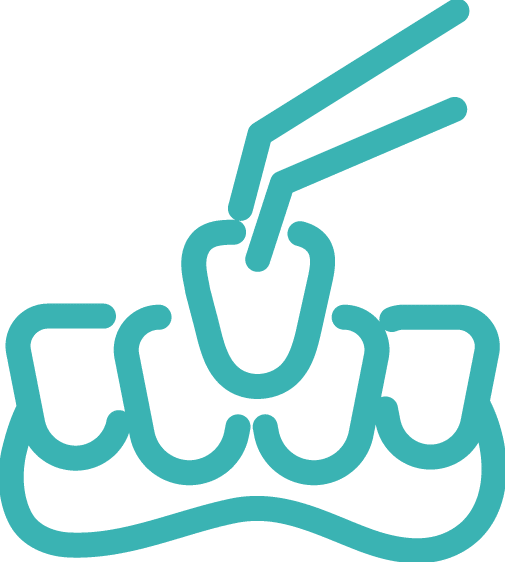 Icon Ästhetik